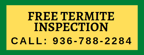 Termite Service Sticker Importance of pest control | Conroe, Houston, The Woodlands